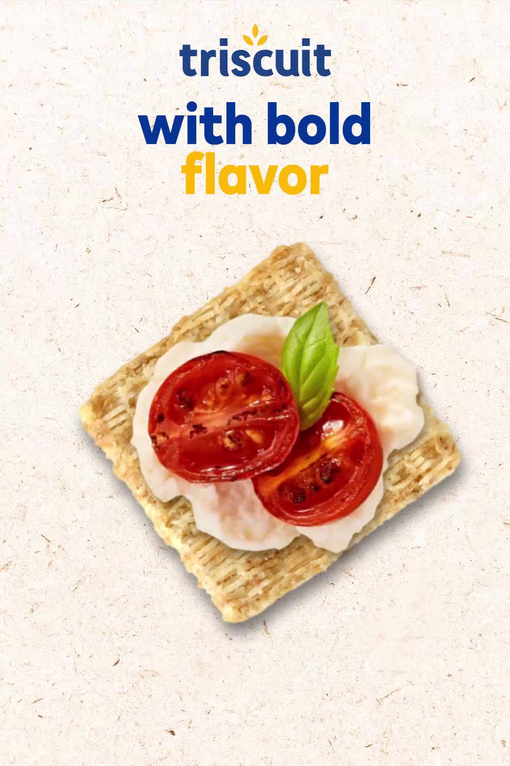 TheOnlineStudio triscuit P5 V1