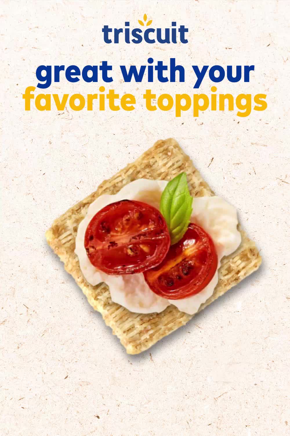 TheOnlineStudio triscuit P6 V1