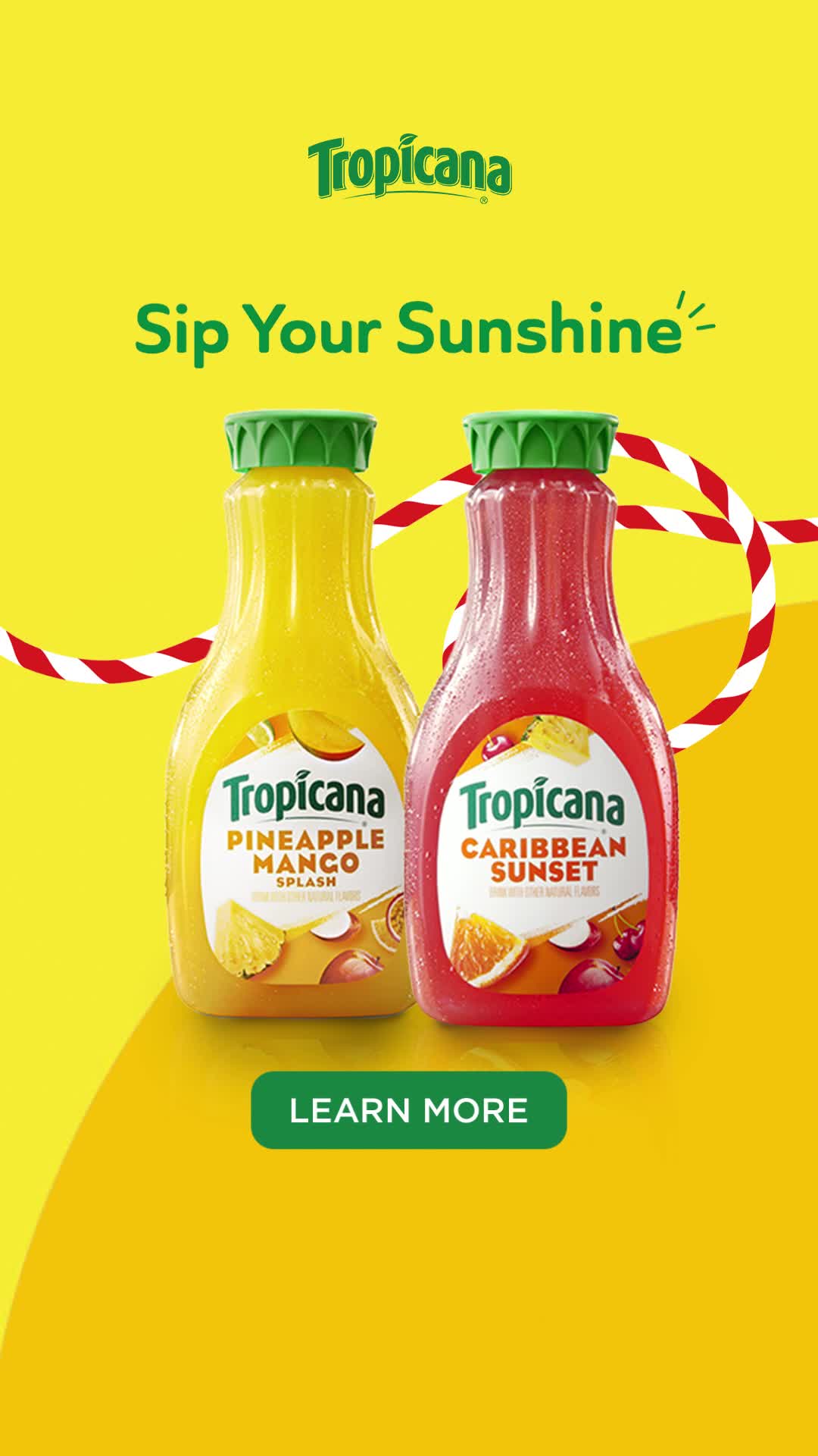 THEONLINESTUDIO TROPICANA P8 V1