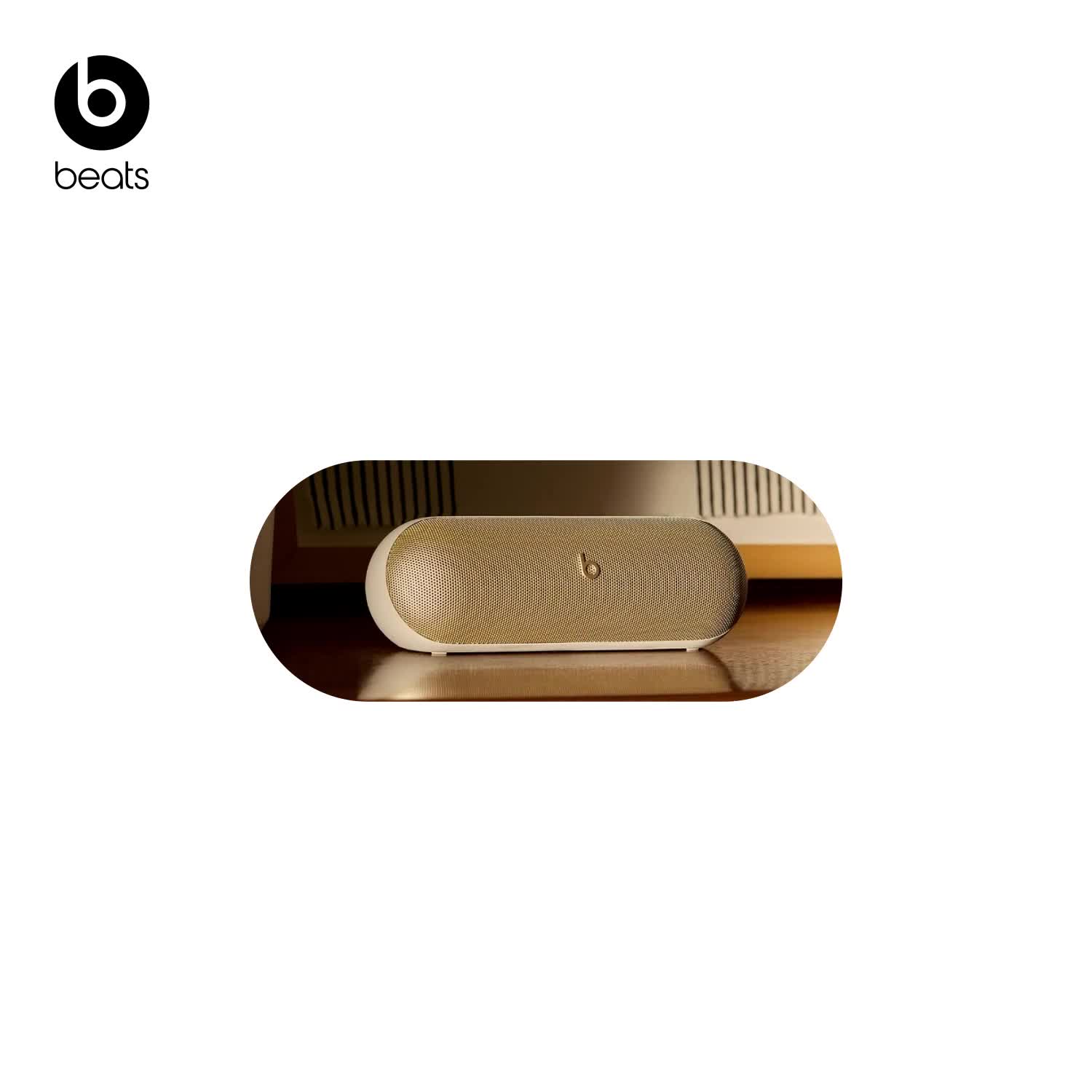 Beats / FY24Q3 Beats Pill