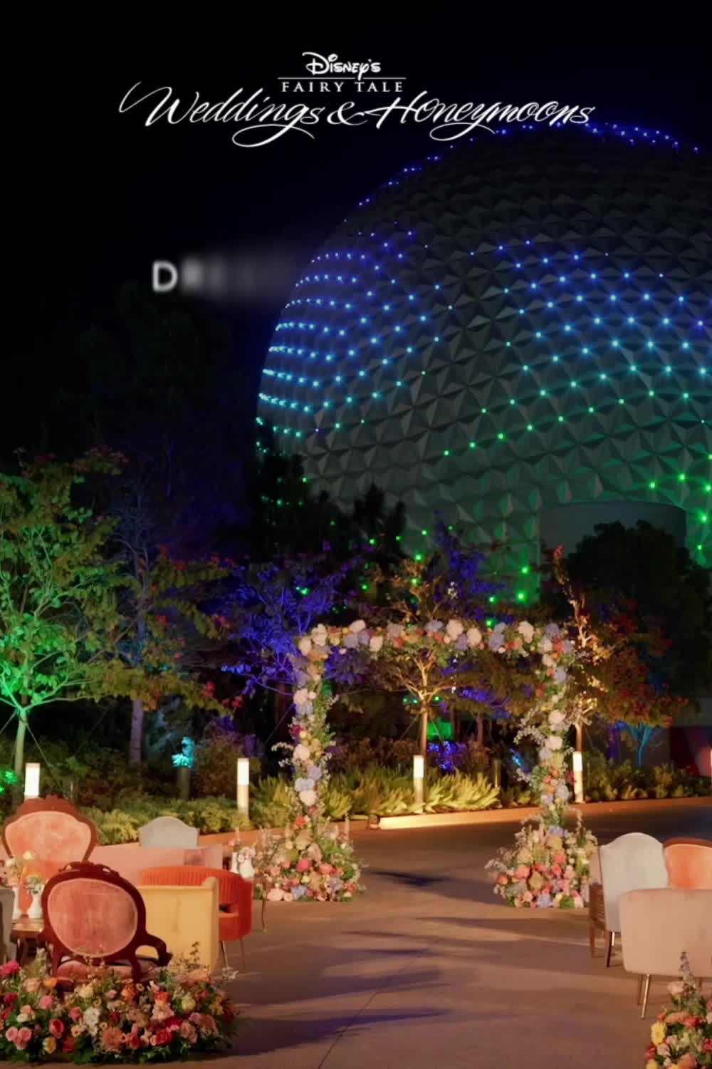 Disney Weddings / Disney Weddings Q4'24