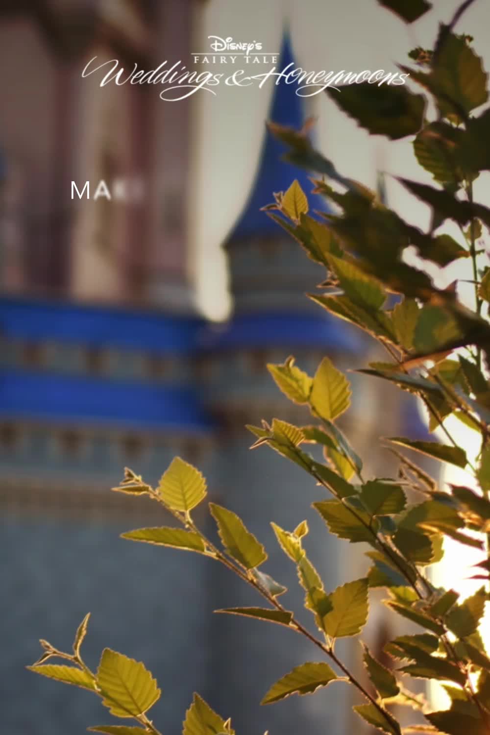 Your Disney wedding, your way